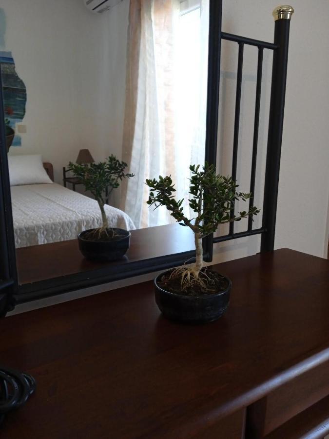 Apartamento Little Lepanto Afytos Exterior foto